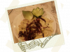 Caramelle ripiene di radicchio con pesto di pinoli e pancetta